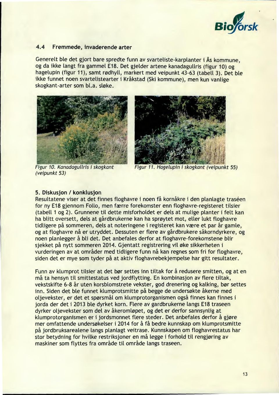 Det ble ikke funnet noen svartelistearter i Kråkstad (Ski kommune), men kun vanlige skogkant-arter som bl.a. sløke. Figur 10. Kanadagullris i skogkant (veipunkt 53) f Figur 11.