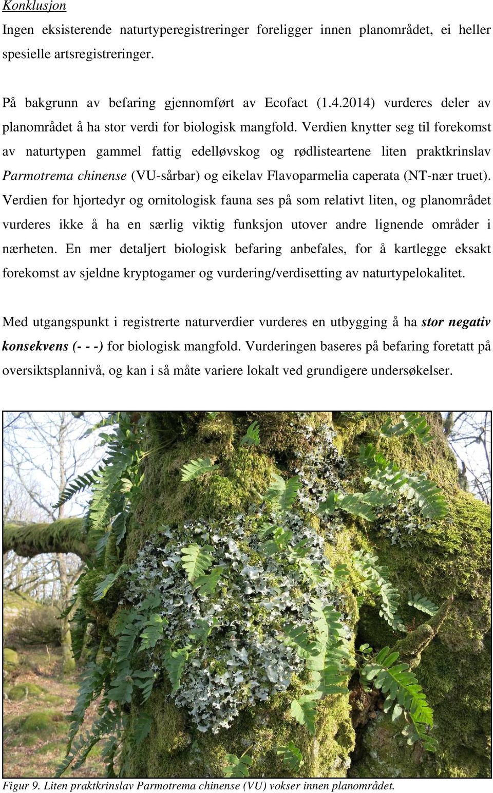 Verdien knytter seg til forekomst av naturtypen gammel fattig edelløvskog og rødlisteartene liten praktkrinslav Parmotrema chinense (VU-sårbar) og eikelav Flavoparmelia caperata (NT-nær truet).