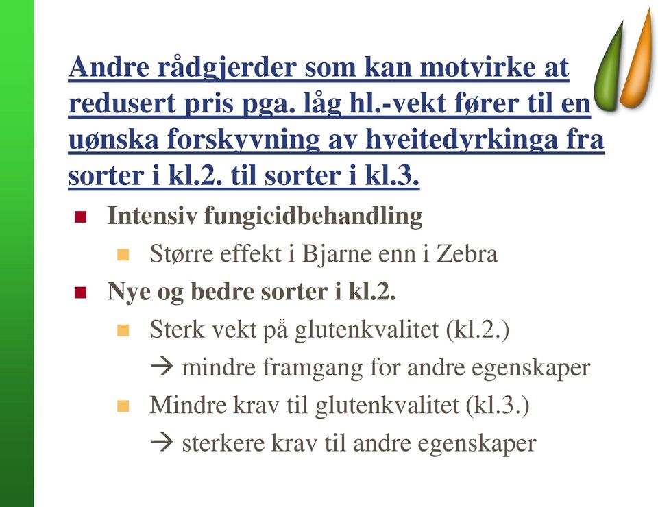 Intensiv fungicidbehandling Større effekt i Bjarne enn i Zebra Nye og bedre sorter i kl.2.