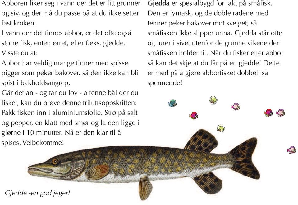 Går det an - og får du lov - å tenne bål der du fisker, kan du prøve denne friluftsoppskriften: Pakk fisken inn i aluminiumsfolie.