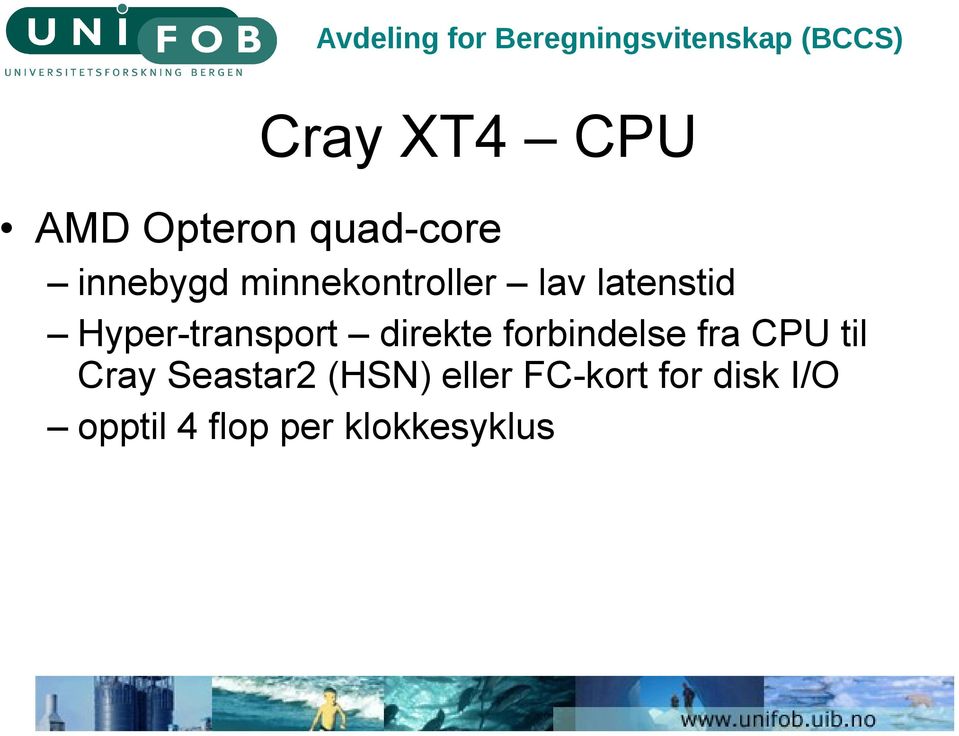 direkte forbindelse fra CPU til Cray Seastar2