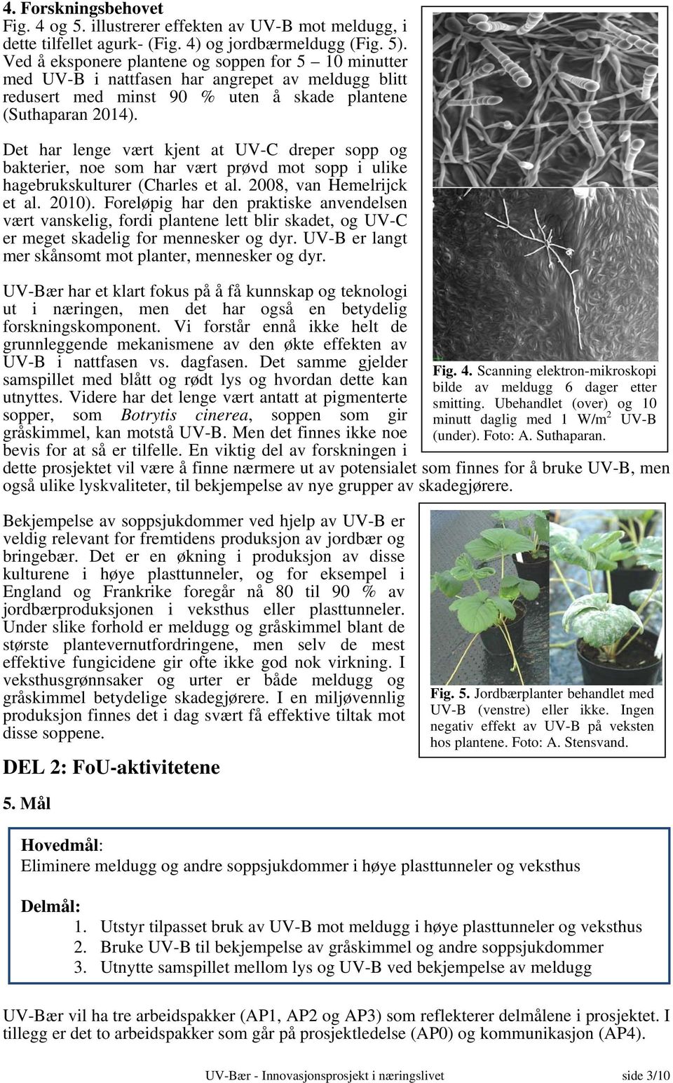 Det har lenge vært kjent at UV-C dreper sopp og bakterier, noe som har vært prøvd mot sopp i ulike hagebrukskulturer (Charles et al. 2008, van Hemelrijck et al. 2010).