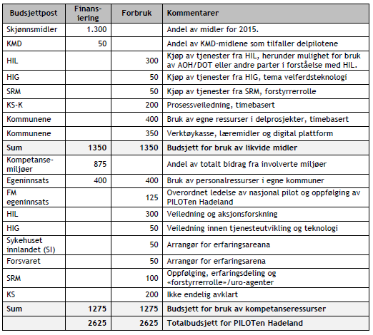 PILOTen Hadeland vil levere på alle beskrevne mål innen utgangen av 2016. I tillegg vil PILOTen gi ekstra effekt på andre områder i samme periode.