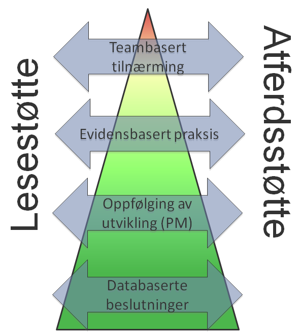 Skoleomfattende helhetlig tilnærming Lesing og sosial atferd i samme skoleutviklingsperspektiv (mange jobber med samme fag på tvers av trinn eller ulike fag på samme trinn).