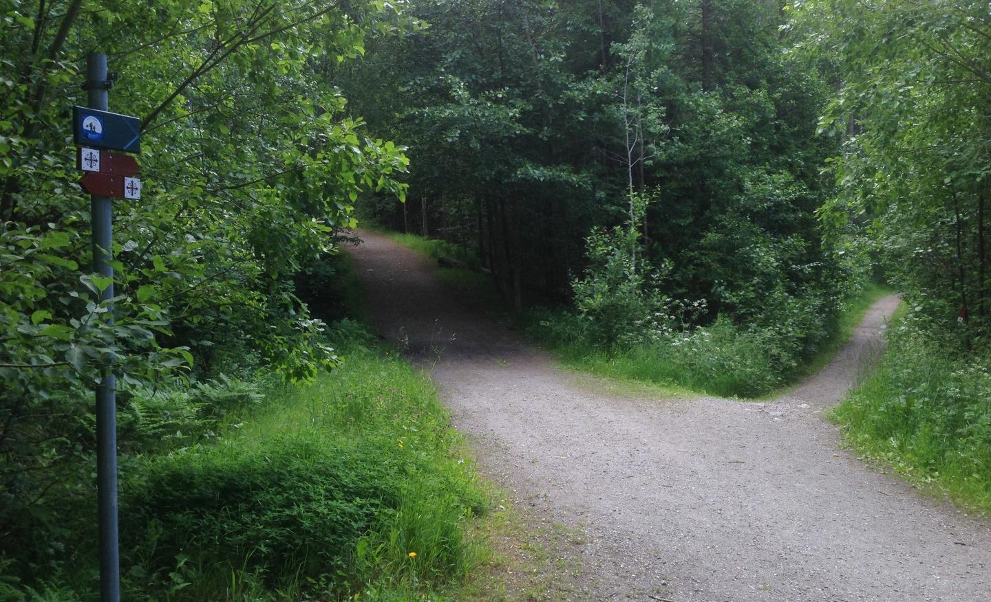 Konsekvensutredning av vurderte tiltak i Mosseskogen