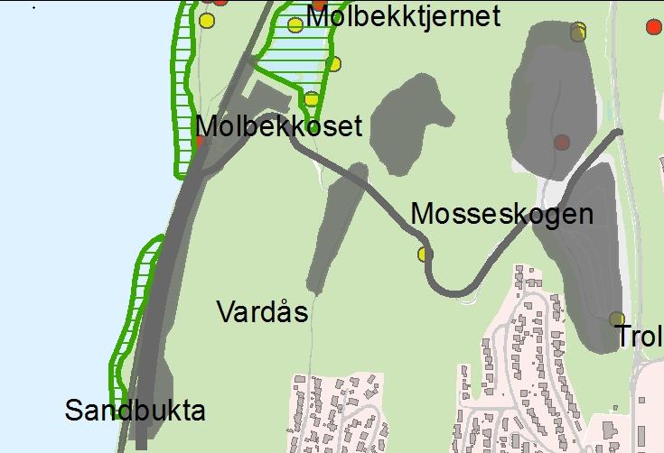 InterCity Sandbukta Moss Såstad KONSEKVENSER MOSSESKOGEN Forholdet til naturmiljø Deler av Mosseskogen store naturverdier ingen spesielle i berørte områder (Molbekktjernet og nordover mest