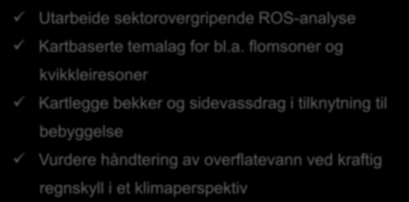 BAKGRUNN Tilsyn av Fylkesmannen i Buskerud - 2008 Konklusjon: Kommunen ivaretok ikke beredskap generelt og klimaendringer i planleggingen på en god nok måte 4 oppfølgingspunkter: Utarbeide