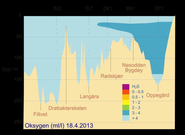 På grunn av is i Bunnefjorden i februar ble det ikke tatt oksygenmålinger der under toktet i