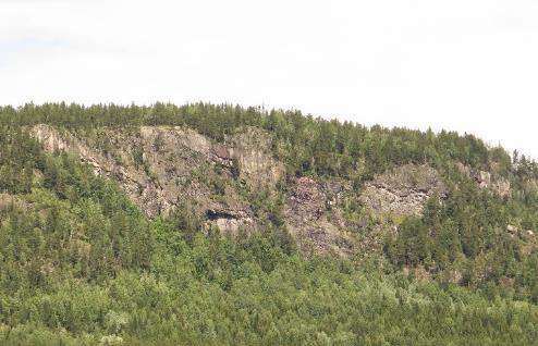 Rollag: Ulvik (32 V 519564 6646287) Lokaliteten består av en sør- sørvestvendt liside 280-420 moh,- med svaberg og et par skredtunger. Lokaliteten er bare undersøkt med kikkert 2016.06.19. uten funn.