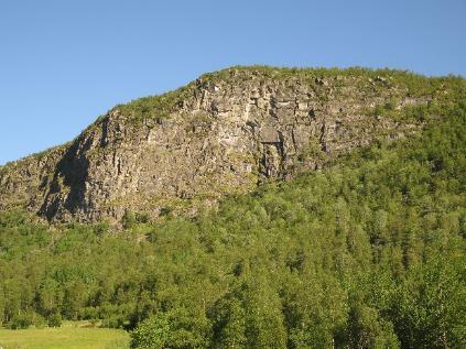 Lokaliteter og befaringsnotat Numedal Hol: Ramberget UTM 32 V 486913 6590987 Lokaliteten ligger i sørvendt bergvegg, 940-1060 moh. Lokaliteten har bratt svaberg med hyller og sprekker med urter.