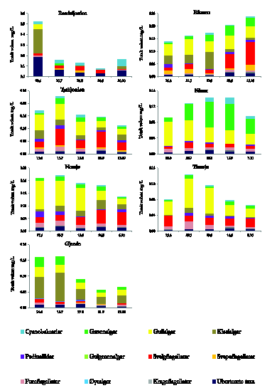 Planteplankton sammensetning Dominerende algeklasser: Gullalger Kiselalger