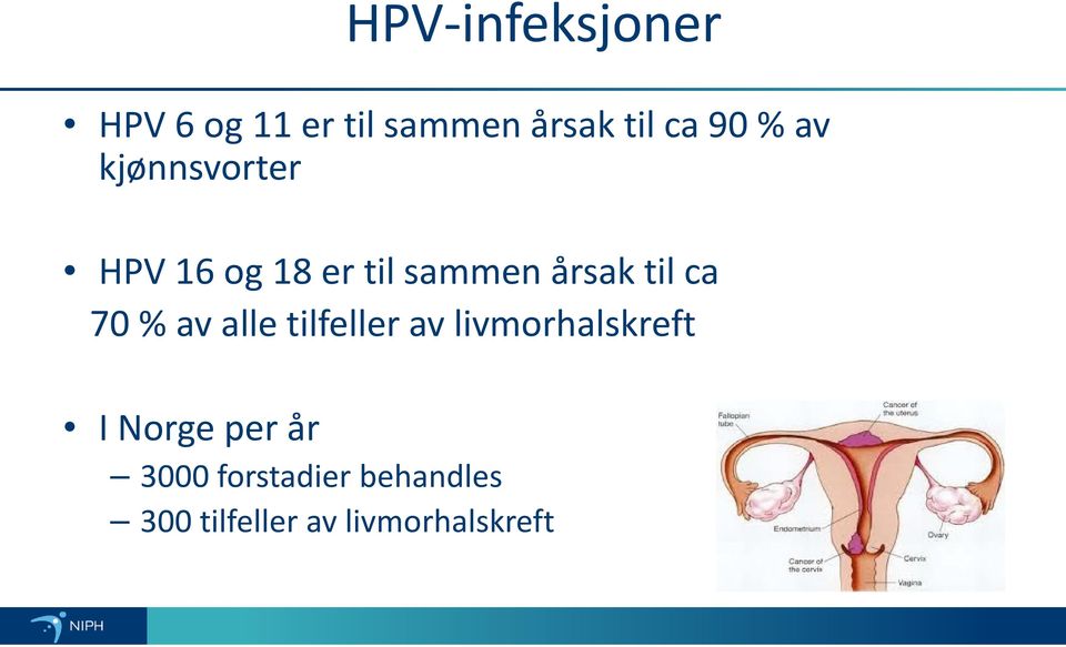 70 % av alle tilfeller av livmorhalskreft I Norge per år