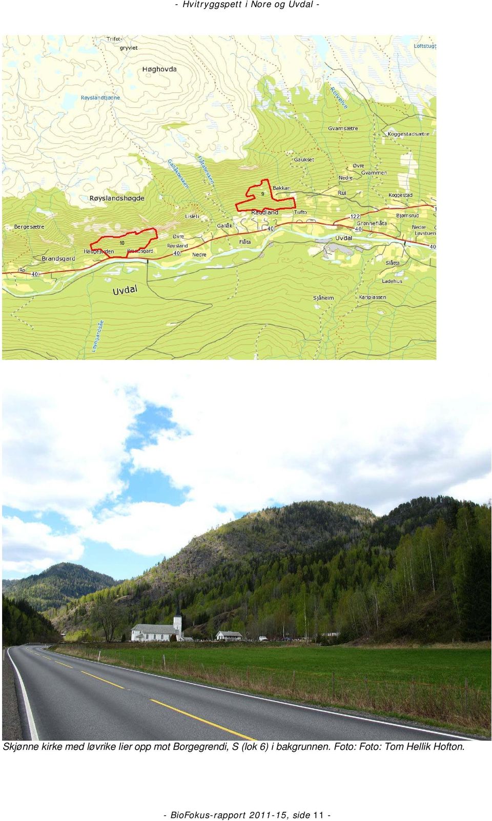 bakgrunnen.