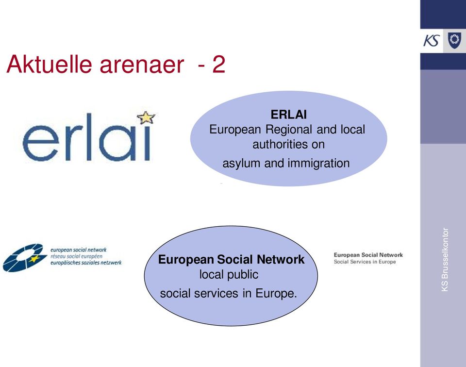 asylum and immigration European Social