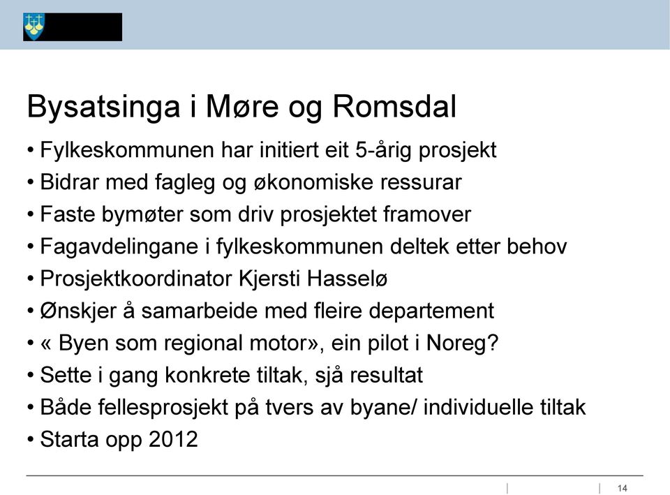 Prosjektkoordinator Kjersti Hasselø Ønskjer å samarbeide med fleire departement «Byen som regional motor», ein