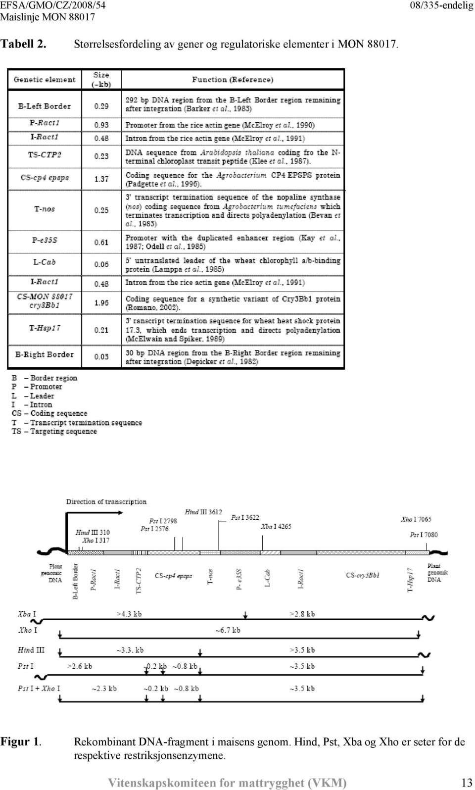MON 88017. Figur 1. Rekombinant DNA-fragment i maisens genom.