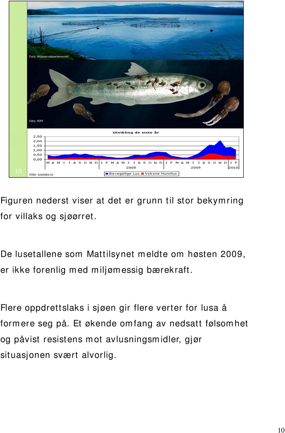 bærekraft. Flere oppdrettslaks i sjøen gir flere verter for lusa å formere seg på.