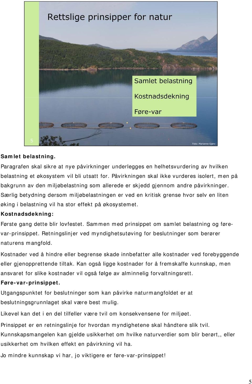 Særlig betydning dersom miljøbelastningen er ved en kritisk grense hvor selv en liten øking i belastning vil ha stor effekt på økosystemet. Kostnadsdekning: Første gang dette blir lovfestet.