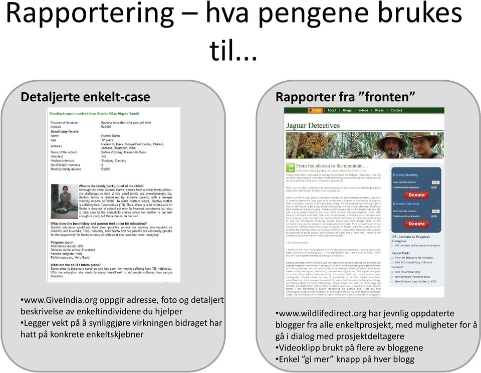 virkningen bidraget har hatt på konkrete enkeltskjebner www.wildlifedirect.