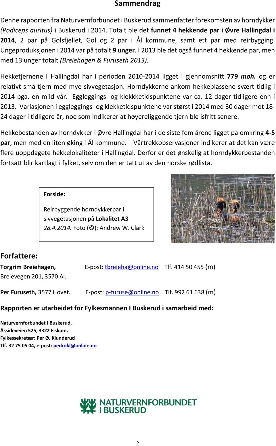 I 2013 ble det også funnet 4 hekkende par, men med 13 unger totalt (Breiehagen & Furuseth 2013). Hekketjernene i Hallingdal har i perioden 2010 2014 ligget i gjennomsnitt 779 moh.