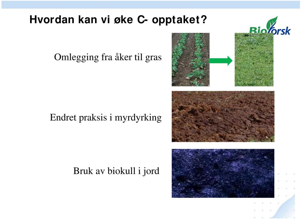 Omlegging fra åker til gras