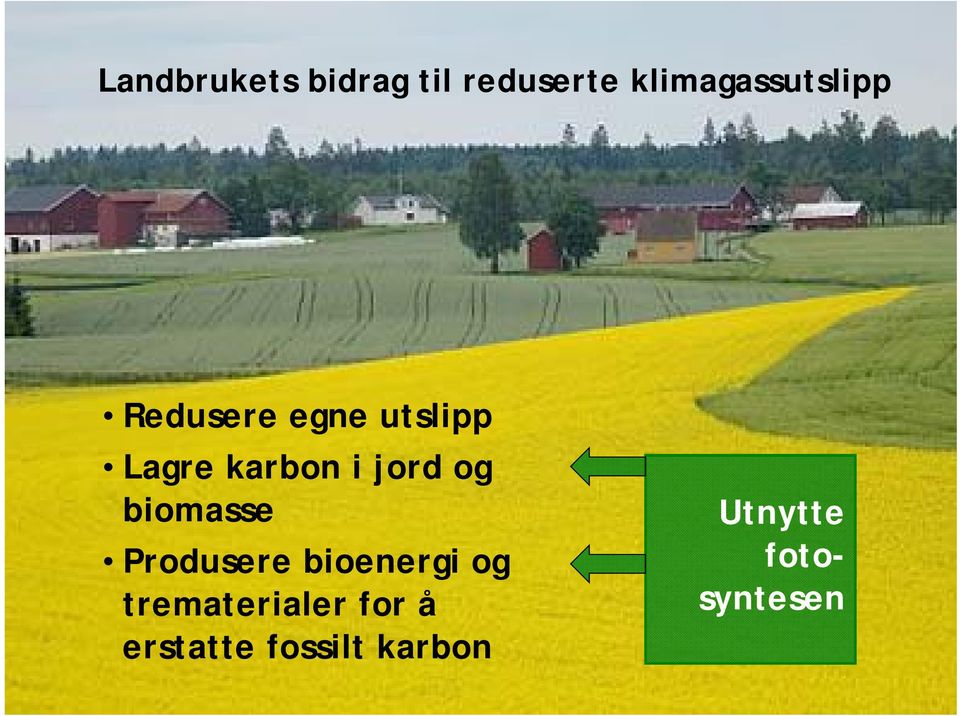 karbon i jord og biomasse Produsere bioenergi