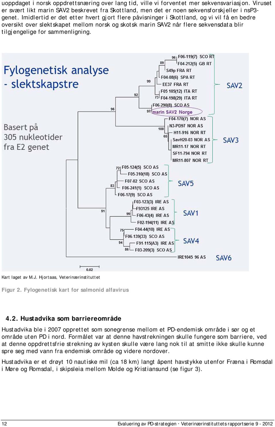 Kart laget av M.J. Hjortaas, Veternærnsttuttet Fgur 2. Fylogenetsk kart for salmond alfavrus 4.2. Hustadvka som barrereområde Hustadvka ble 2007 opprettet som sonegrense mellom et PD-endemsk område sør og et område uten PD nord.