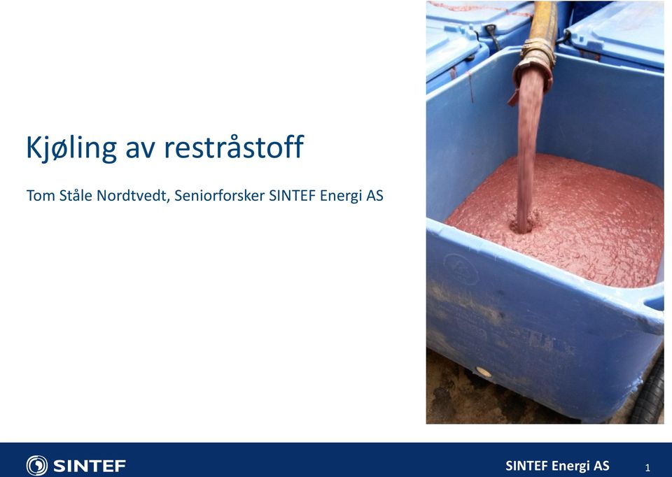 Seniorforsker SINTEF