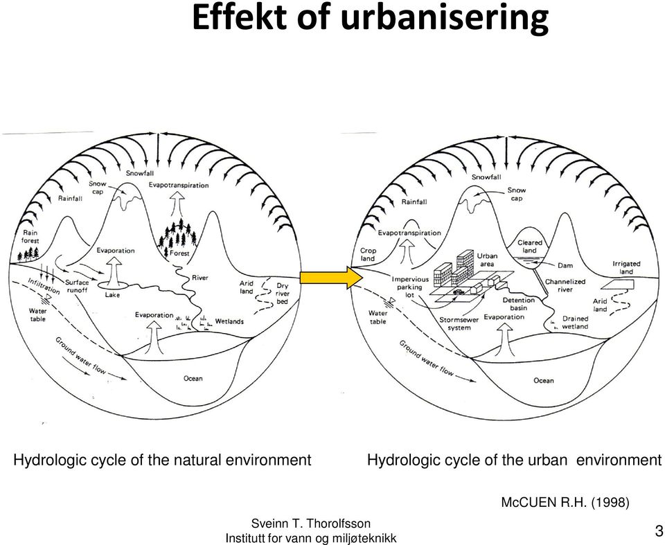 urban environment McCUEN R.H. (1998) Sveinn T.