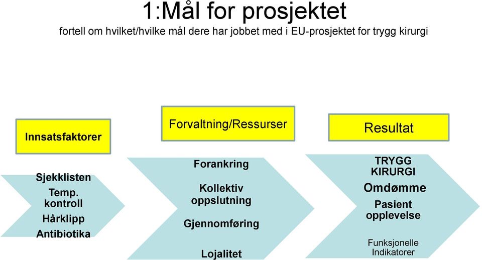 kontroll Hårklipp Antibiotika Forvaltning/Ressurser Forankring Kollektiv