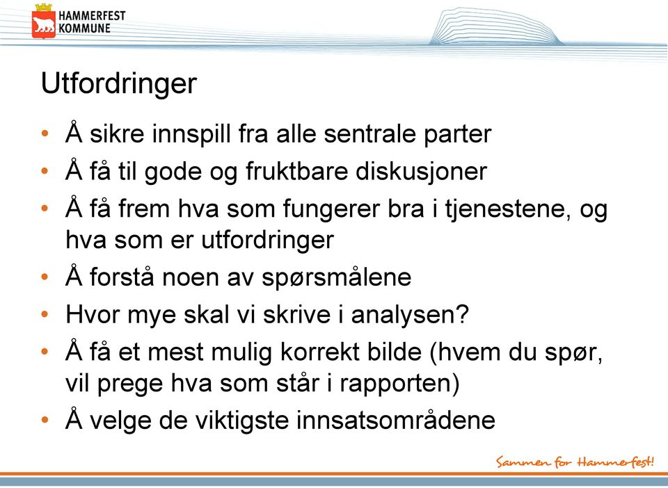 forstå noen av spørsmålene Hvor mye skal vi skrive i analysen?