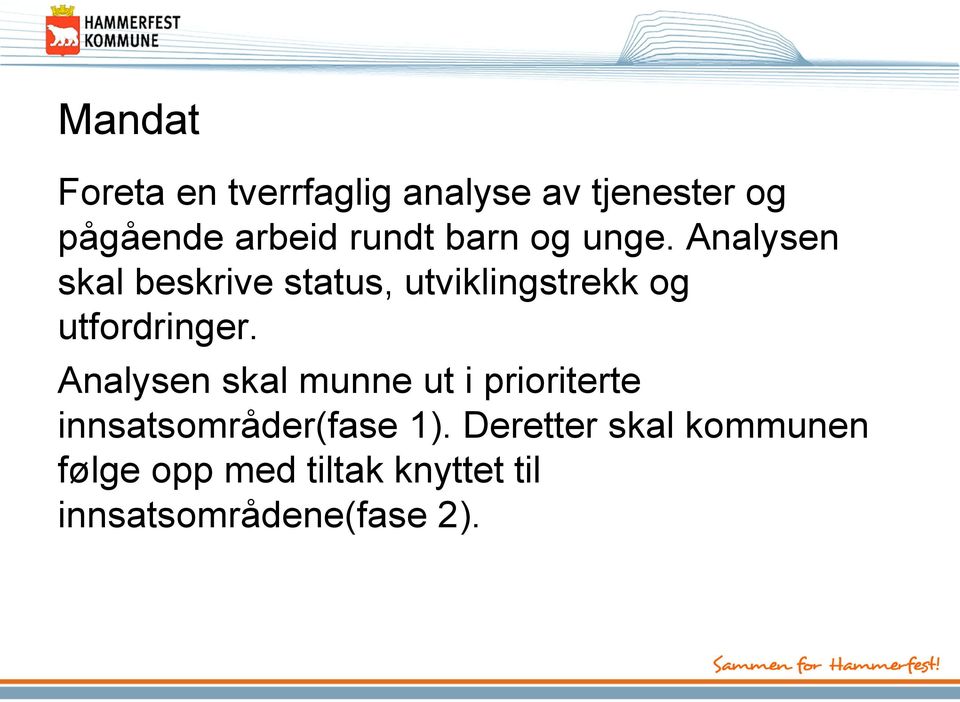 Analysen skal beskrive status, utviklingstrekk og utfordringer.