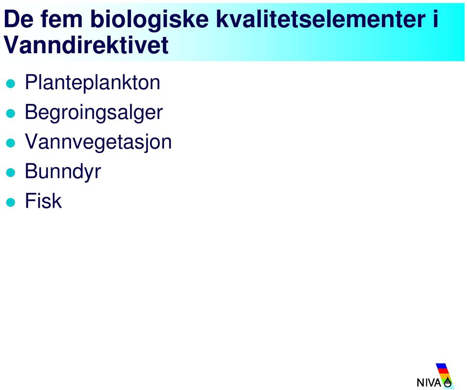 Vanndirektivet