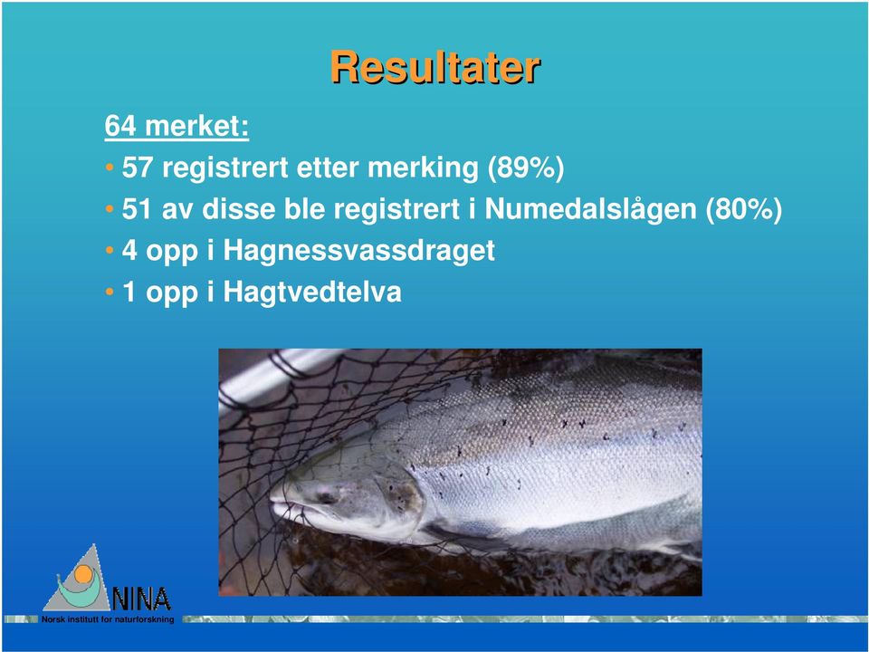 registrert i Numedalslågen (80%) 4