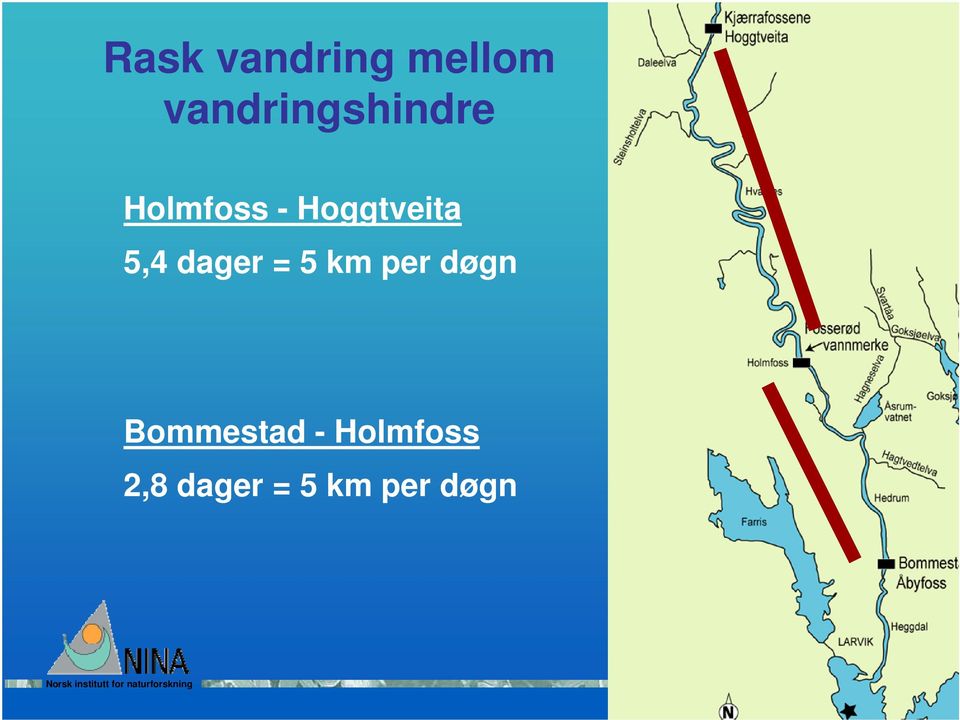 Hoggtveita 5,4 dager = 5 km per