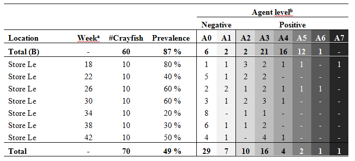 A. astaci positive kreps (%) Prevalens av A.