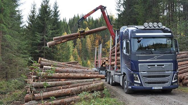 Skogsveger - tømmerbil Nybygging landbruksveier 1951-2014 Kilde: Landbruks- og matdepartementet Nybygging av