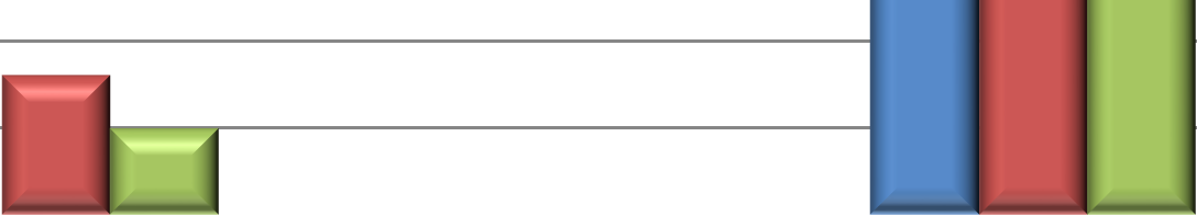 RAPPORT - MÅLRETTET HELSEKONTROLL Side 8 av 14 Slitasje/Belastninger Antall i % IKM Services 1.