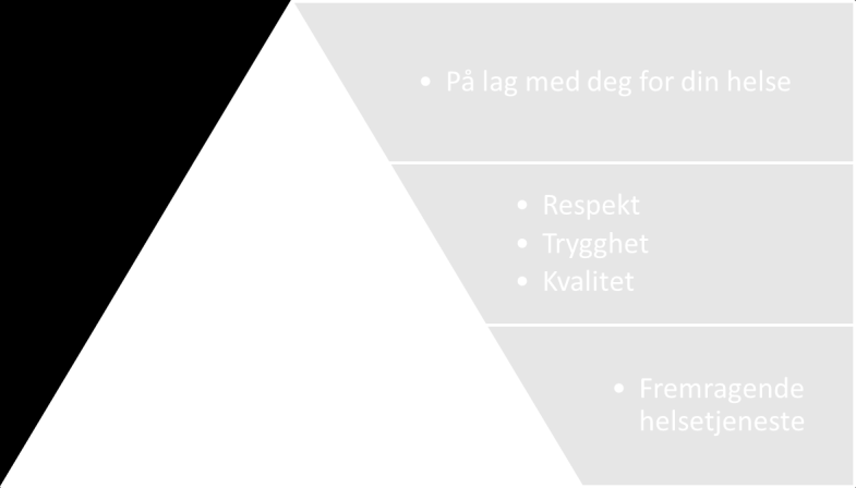 Vår ambisjon bygger både på vår visjon «På lag med deg for din helse» og regionens tre verdier; respekt, trygghet og kvalitet. Dette er illustrert i figuren under.