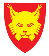 HEMSEDAL KOMMUNE