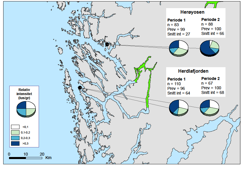 Figur 5. Undersøkte stasjoner i Nordhordland. Kakediagrammet viser andel med mer enn 0,1, 0,2 og 0,3 lakselus per gram kroppsvekt hos den undersøkte fisken på hver lokalitet i begge perioder.