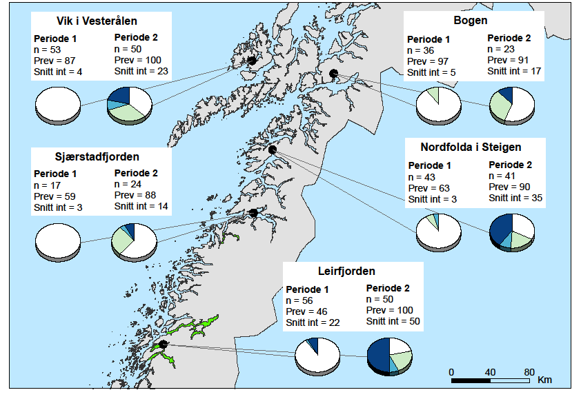 I andre undersøkelsesperiode (uke 29-30) ble det funnet en generell økning på alle stasjoner i Nordland.