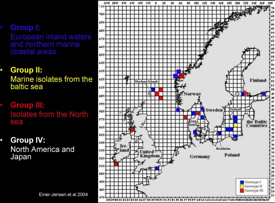 baltic sea Group III: Isolates from the North sea