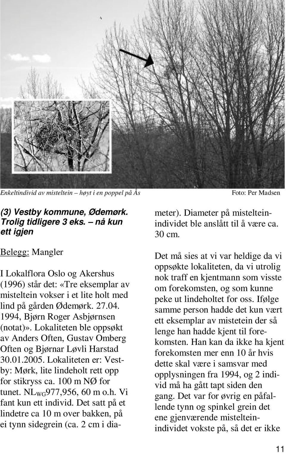 1994, Bjørn Roger Asbjørnsen (notat)». Lokaliteten ble oppsøkt av Anders Often, Gustav Omberg Often og Bjørnar Løvli Harstad 30.01.2005.