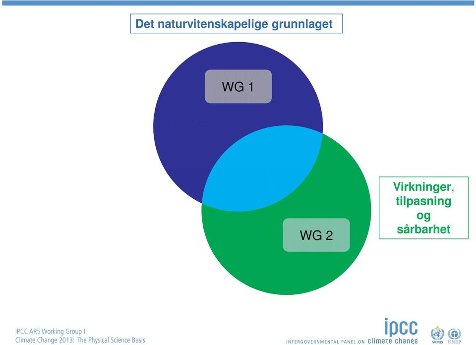 grunnlaget WG 1 WG