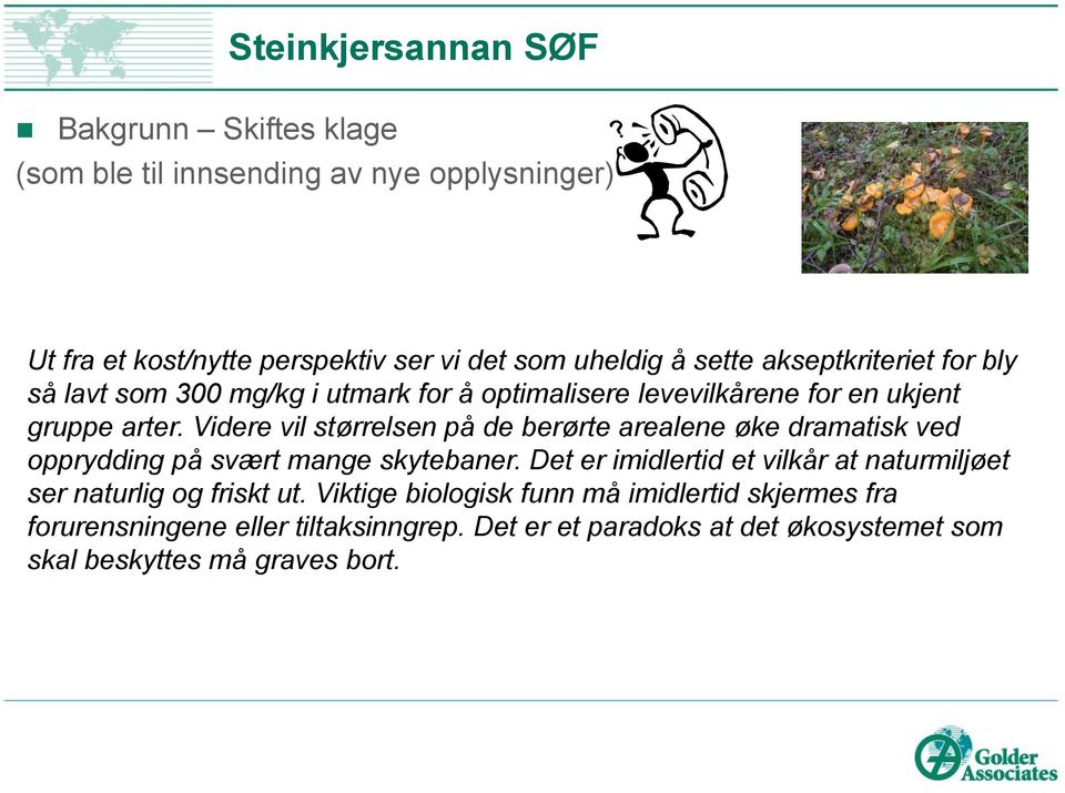 Videre vil størrelsen på de berørte arealene øke dramatisk ved opprydding på svært mange skytebaner.