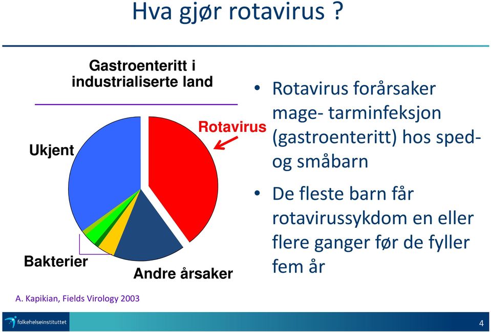 Kapikian, Fields Virology 2003 Rotavirus Andre årsaker Rotavirus
