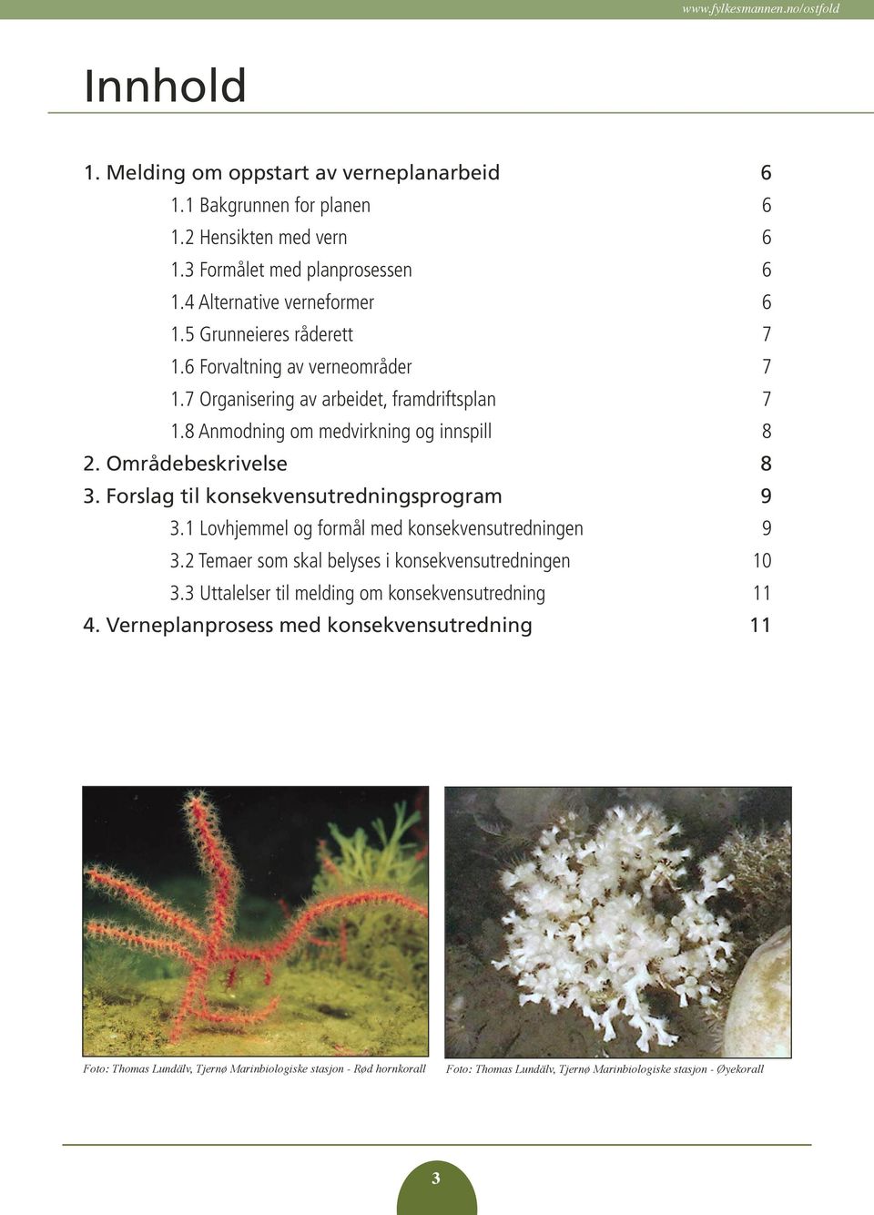 Forslag til konsekvensutredningsprogram 9 3.1 Lovhjemmel og formål med konsekvensutredningen 9 3.2 Temaer som skal belyses i konsekvensutredningen 10 3.