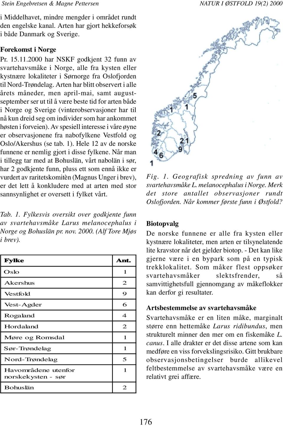 Arten har blitt observert i alle årets måneder, men april-mai, samt augustseptember ser ut til å være beste tid for arten både i Norge og Sverige (vinterobservasjoner har til nå kun dreid seg om