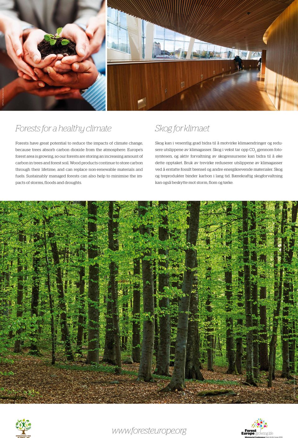 Wood products continue to store carbon through their lifetime, and can replace non-renewable materials and fuels.